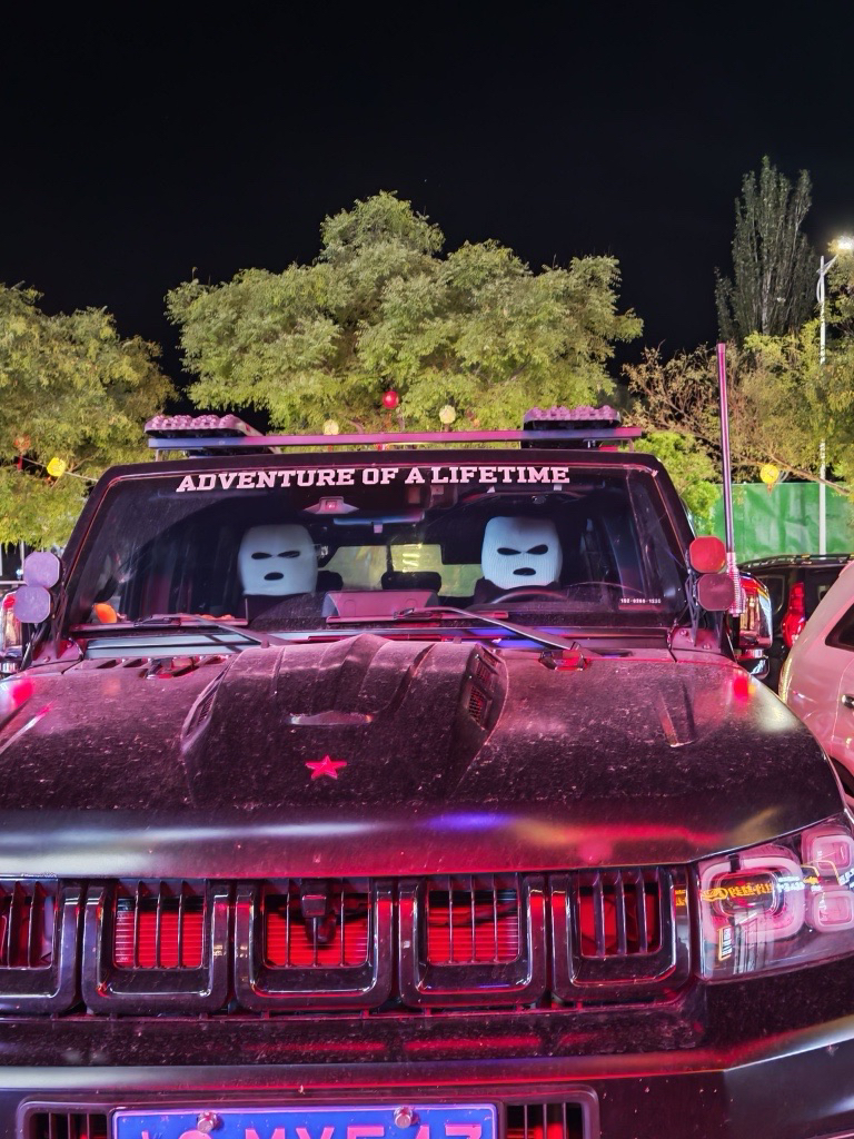 不是哥们这是干嘛？车后还挂了粉红豹和工兵铲。